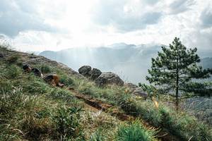 BIB: 
                            <button type="button" onclick="openModal(25997343)" class="btn btn-primary btn-sm float-right btn-popup" data-toggle="modal" data-target=".modal-high-quality">
                        <i class="fas fa-shopping-cart"></i> Add to Cart
                    </button>
                                            <button type="button" onclick="isThisMe(25997343, true)" class="btn btn-success btn-sm float-right btn-popup btn-isme hidden" data-toggle="tooltip" data-placement="bottom" title="นี่คือรูปของคุณใช่ไหม คลิกที่นี่เพื่อเอาเข้าอัลบั้ม">
                        <i class="fas fa-plus"></i> Add to album
                    </button>
                    <button type="button" onclick="isThisMe(25997343, false)" class="btn btn-warning btn-sm float-right btn-popup btn-isnotme hidden">
                        <i class="fas fa-ban"></i> Remove from album
                    </button>